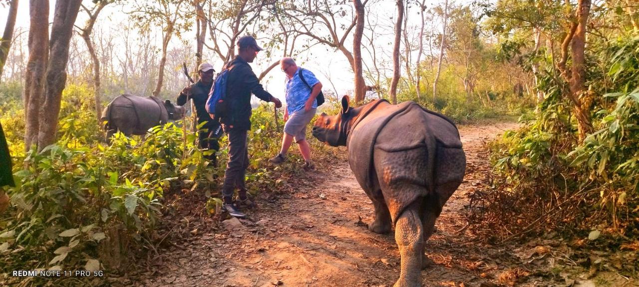 Hotel National Park- A Peaceful Family Home Where You Can Stay Peace And Enjoy And Organize The Wildlife Safari チトワン エクステリア 写真
