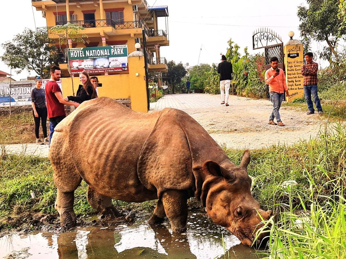 Hotel National Park- A Peaceful Family Home Where You Can Stay Peace And Enjoy And Organize The Wildlife Safari チトワン エクステリア 写真