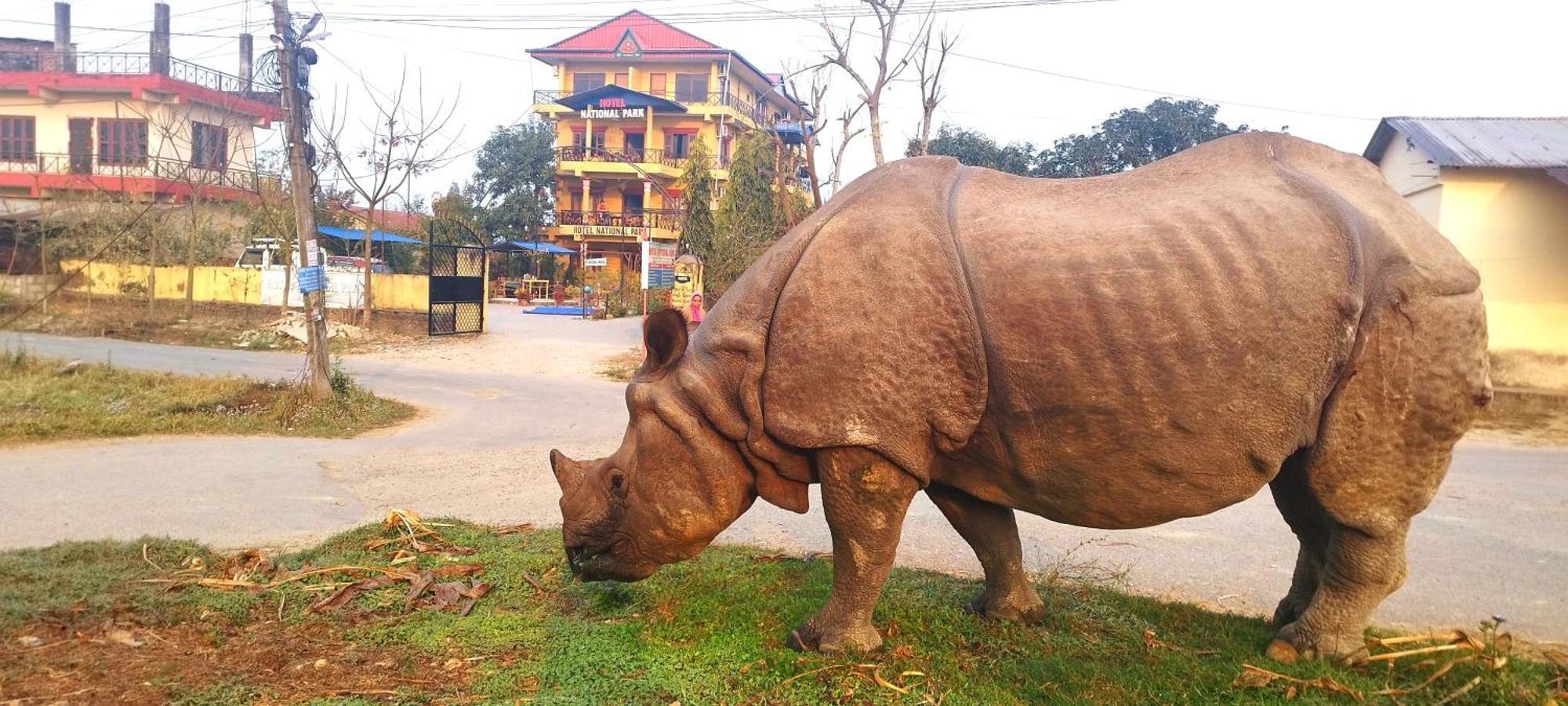 Hotel National Park- A Peaceful Family Home Where You Can Stay Peace And Enjoy And Organize The Wildlife Safari チトワン エクステリア 写真