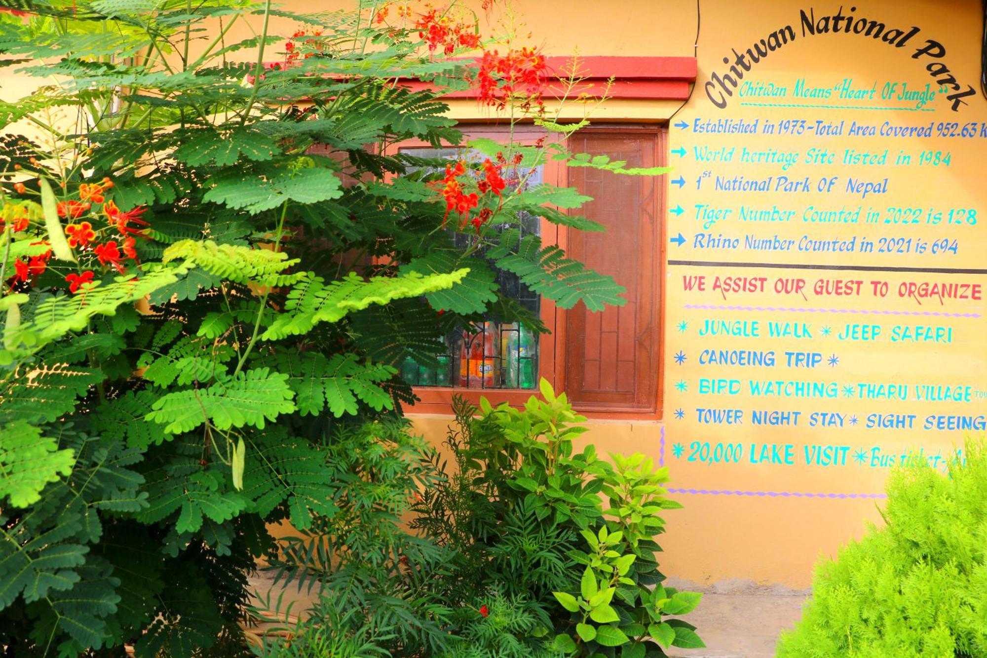 Hotel National Park- A Peaceful Family Home Where You Can Stay Peace And Enjoy And Organize The Wildlife Safari チトワン エクステリア 写真