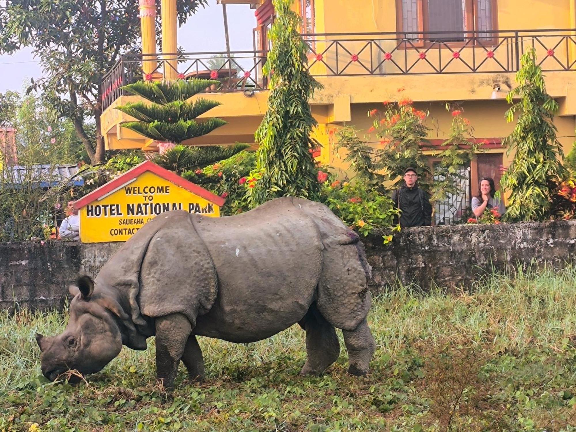 Hotel National Park- A Peaceful Family Home Where You Can Stay Peace And Enjoy And Organize The Wildlife Safari チトワン エクステリア 写真